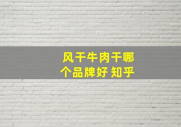 风干牛肉干哪个品牌好 知乎